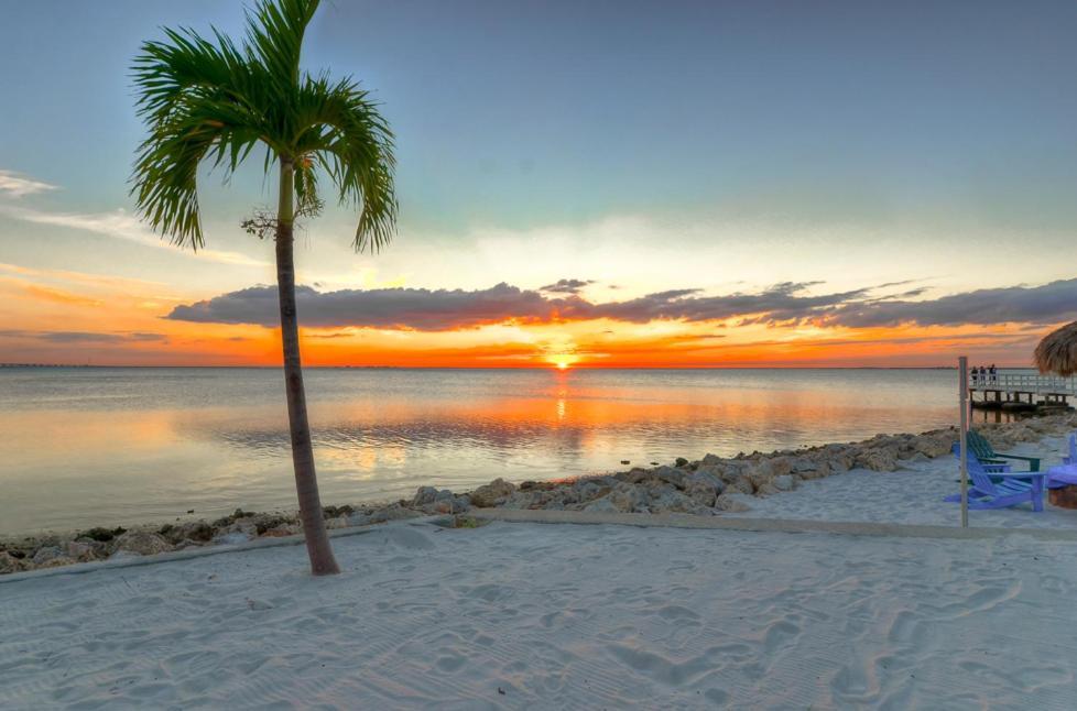 412-Amazing Views, Waterfront, Wifi, Pool, Close To Bucs Stadium Tampa Extérieur photo